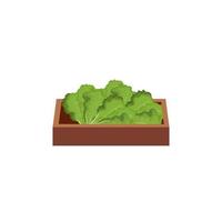 verdura sana in scatola di legno icona isolata vettore