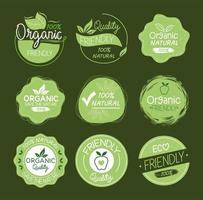 gruppo di icone di etichette naturali organiche vettore