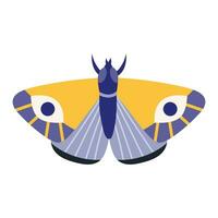 la farfalla, falena, insetto con Ali, cartone animato stile. di moda moderno vettore illustrazione isolato su bianca sfondo, mano disegnato