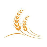 Grano logo modello vettore icona design