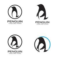 pinguino logo modello vettore icona