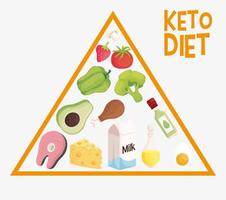 piramide della dieta cheto vettore