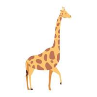 giraffa animale africano carattere selvaggio vettore