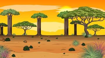 paesaggio della foresta africana alla scena del tramonto con molti grandi alberi vettore