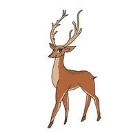Natale cervo illustrazione nel tradizionale cartone animato stile isolato su bianca sfondo vettore