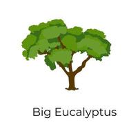 grande albero di eucalipto vettore