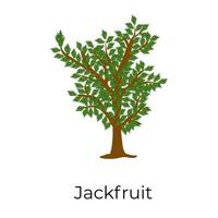 jack albero da frutto vettore