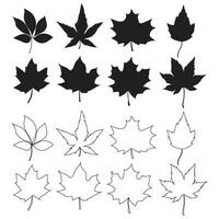 isolato mapal le foglie impostato vettore illustrazioni silhouette