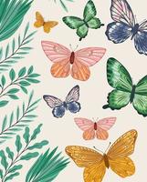 farfalle e piante vettore