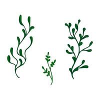 scarabocchio verde colori ramoscello rami elemento. ramoscello pianta, erba. vettore illustrazione.