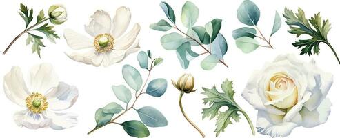 acquerello disegno, impostato di bianca fiori e verde eucalipto le foglie. fiori e mini cuffie di Rose, papaveri, anemoni vettore