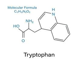 triptofano biochimica strutturale, nutrizionale, metabolico molecola scheletrico formula. vettore