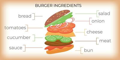 hamburger ingredienti piatto infografica vettore