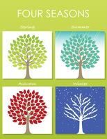 Un insieme di quattro illustrazioni dell'albero in quattro stagioni. vettore