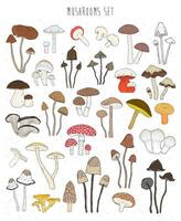 collezione di mano disegnato colorato funghi. impostato isolato commestibile, immangiabile, allucinogeno fungo. schizzo vettore illustrazione