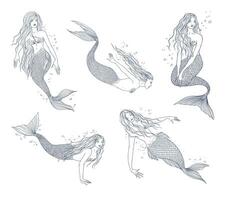 sirena nel vario posture mano disegnato contorno illustrazione impostare. collezione naiade. vettore