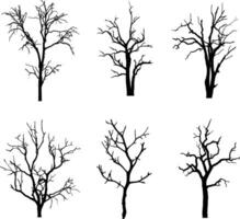 un' vettore collezione di magro spaventoso alberi per opera d'arte composizioni e sfondi