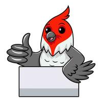 carino rosso crestato cardinale uccello cartone animato dando pollice su vettore