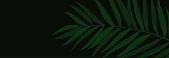 sfondo tropicale di foglia di palma verde realistico naturale. illustrazione vettoriale eps10