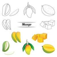 realistico Mango impostato con le foglie vettore