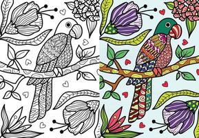 pagina del libro da colorare di arte del pappagallo per adulti e bambini. illustrazione vettoriale astratta terapia antistress.