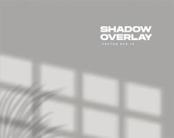 scena di sovrapposizione delle ombre shadow vettore
