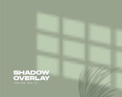 scena di sovrapposizione delle ombre shadow vettore