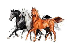tre cavalli corrono al galoppo da una spruzzata di acquerello, schizzo disegnato a mano. illustrazione vettoriale di vernici