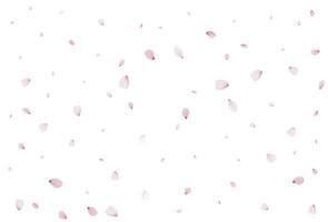 realistico ciliegia petali. vettore illustrazione