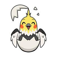carino grigio cockatiel uccello cartone animato dentro a partire dal uovo vettore