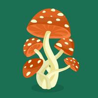 amanita siamo un' grande velenoso funghi. vettore illustrazione di velenoso funghi.