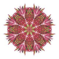 bellissimo mandala ornamento design con geometrico cerchio elemento fatto nel vettore realistico lusso mandala sfondo bellissimo mandala design illustrazione