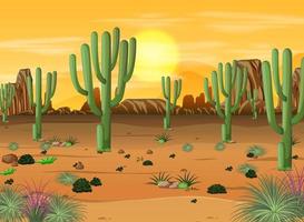 paesaggio della foresta del deserto al tramonto scena con molti cactus vettore