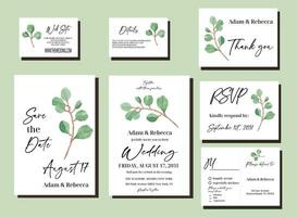 elegante minimalista eucalipto verdura acquerello dipinto nozze invito impostato con RSVP, Salva tha Data e dettagli carte vettore