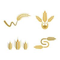 immagini del logo di grano vettore