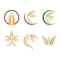 immagini del logo di grano vettore