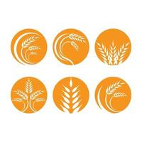 immagini del logo di grano vettore