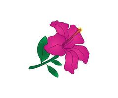 rosa ibisco fiore disegno linea arte icona grafica colorazione pagine per bambini gratuito Scarica vettore