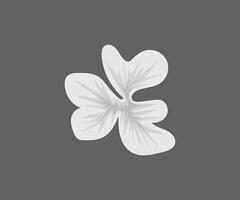 bianca Fiore di campo vettore disegno linea arte icona grafica colorazione pagina per bambini gratuito Scarica