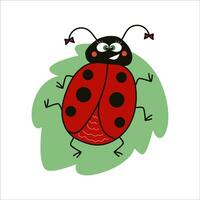 cartone animato divertente coccinella con fiocchi su un' foglia. vettore scarabocchio illustrazione