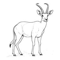 antilope colorazione pagine per bambini vettore