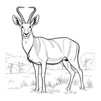 antilope colorazione pagine per bambini vettore