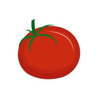 rosso succoso pomodoro con verde coda isolato su bianca sfondo. piatto vettore illustrazione.