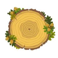 attraversare sezione di un quercia albero con annuale anelli. quercia le foglie e ghiande. illustrato vettore clipart.