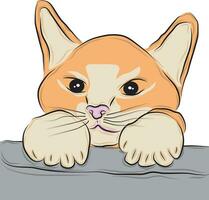 carino arancia gatto animale domestico vettore immagine