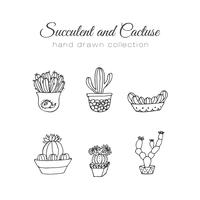 Disegnato a mano succulente e set di cactus vettore