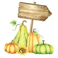 di legno cartello. legna tavola con arancia e verde zucche, girasoli e le foglie. autunno puntatore. acquerello illustrazione. isolato. per cartoline, marketing, inviti. vettore