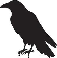 corvo vettore silhouette illustrazione nero colore
