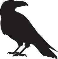 corvo vettore silhouette illustrazione nero colore