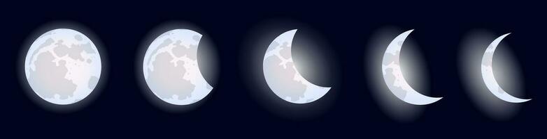 Luna fasi. vettore astrologico illustrazione per il lunare calendario. cartone animato piatto stile.